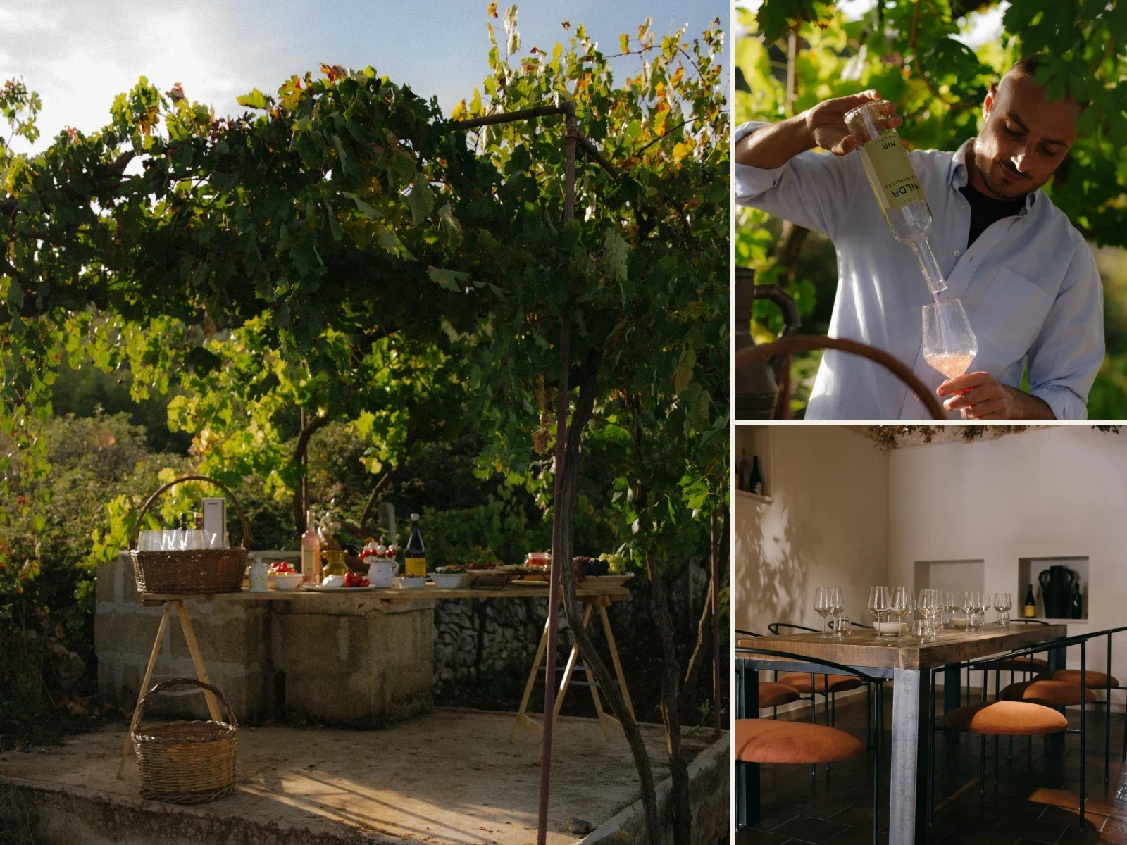 Composizione di tre fotografie autorizzate delle Wine Experience Cantina MIR: picnic nel vigneto, servizio del vino e sala degustazione