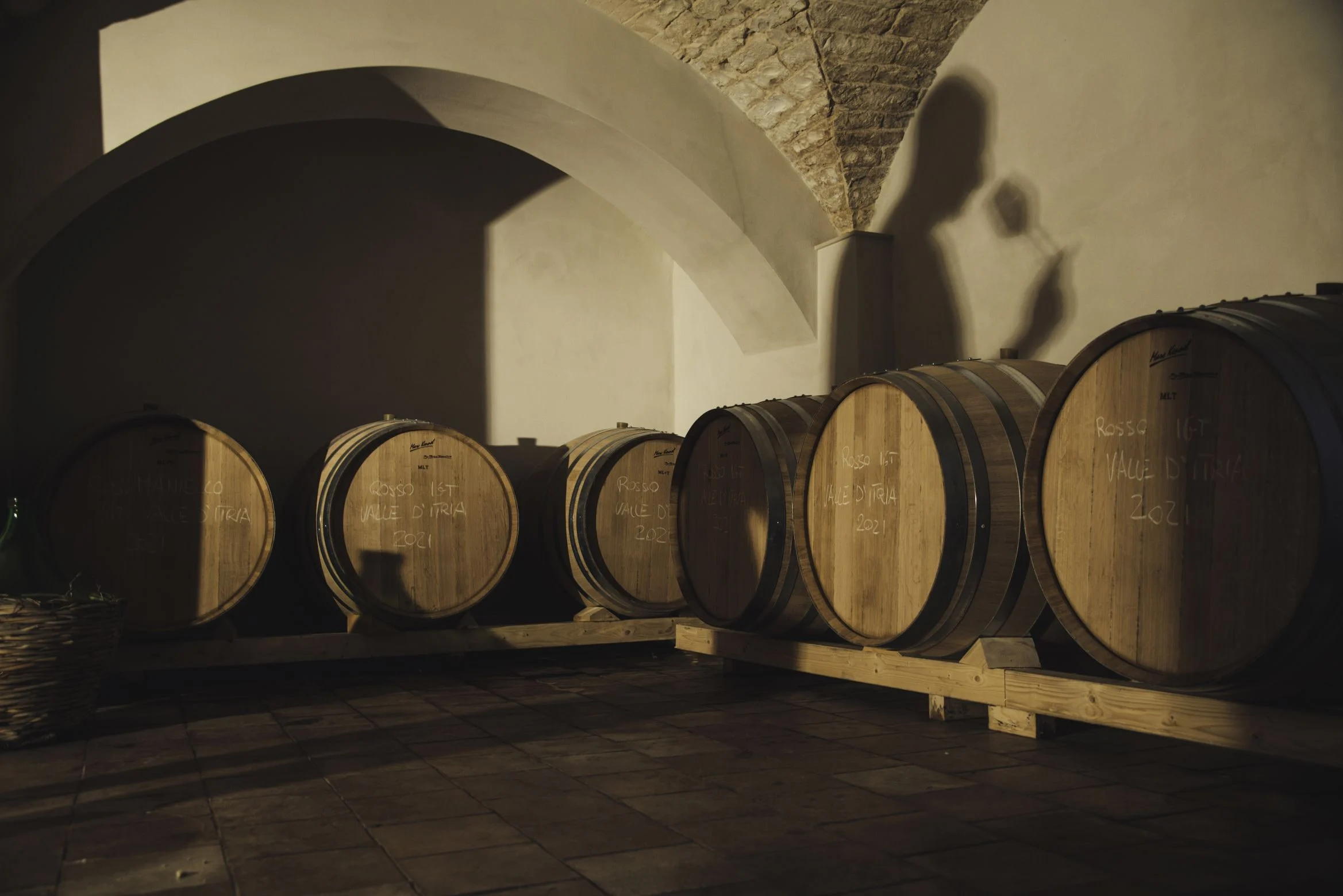 Botti di vino illuminate nella cantina Vineka