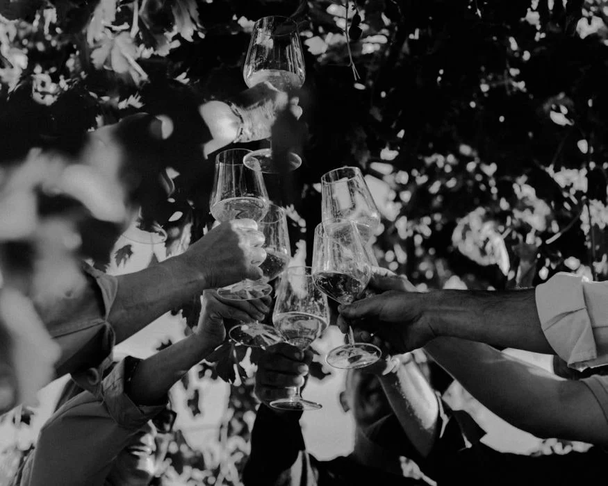 Calici di vino alzati tra le foglie durante un’esperienza Vineka