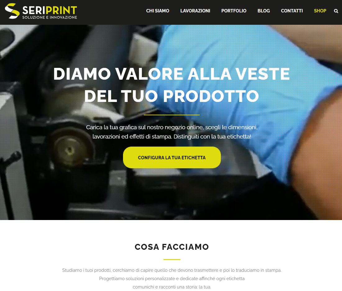 consulenza seo per seriprint.it